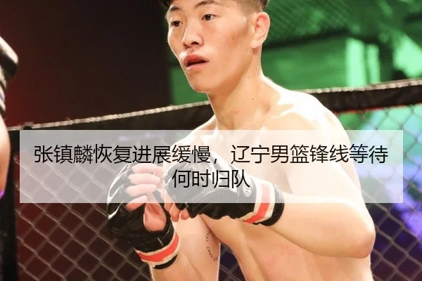 张镇麟恢复进展缓慢，辽宁男篮锋线等待何时归队
